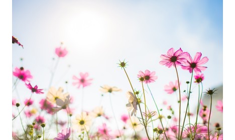 Des nouveautés pour le printemps !